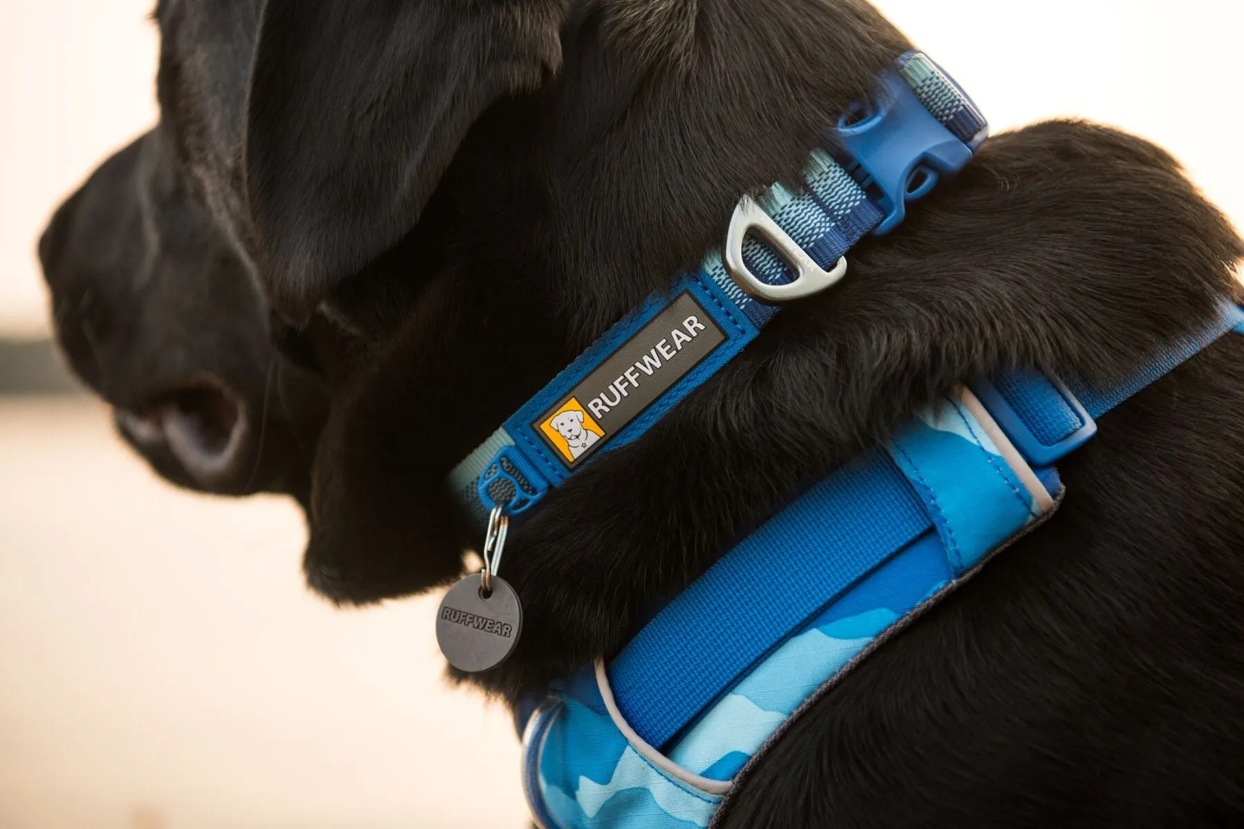Front Range Harness